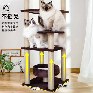 最新猫架猫树选购指南 剑麻猫抓柱与猫爬架价格全解析