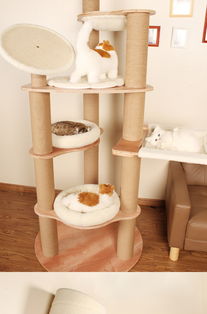 经典匠心之作 zeze豪华木质猫爬架，羊羔绒的温柔守护